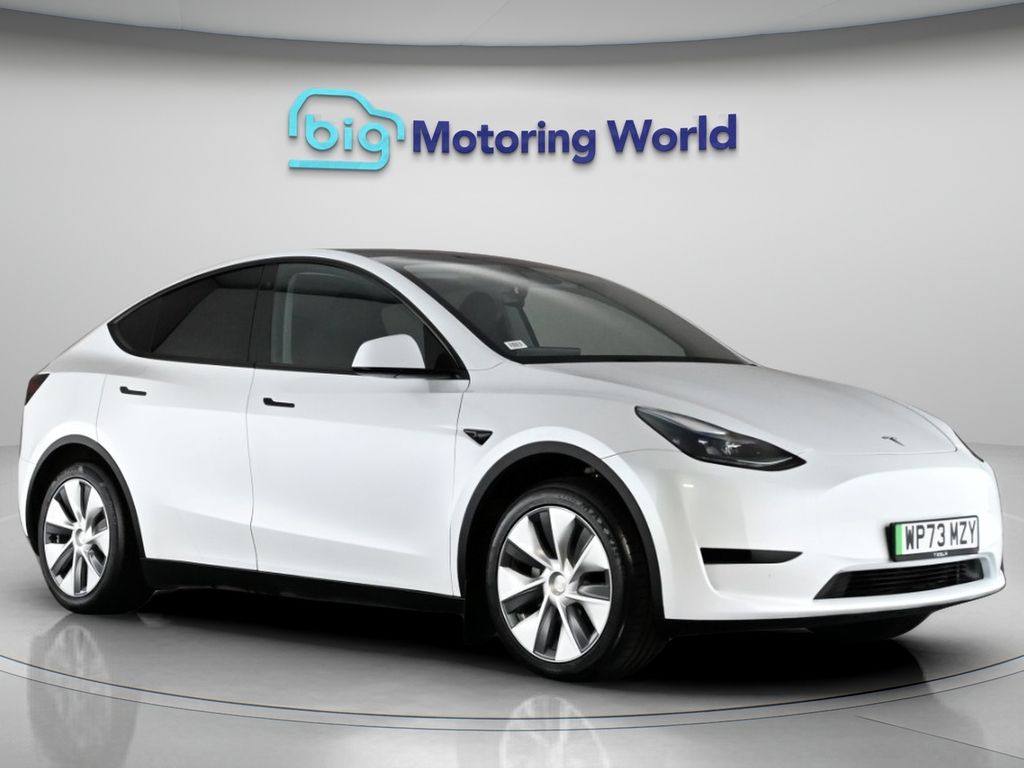 Model Y