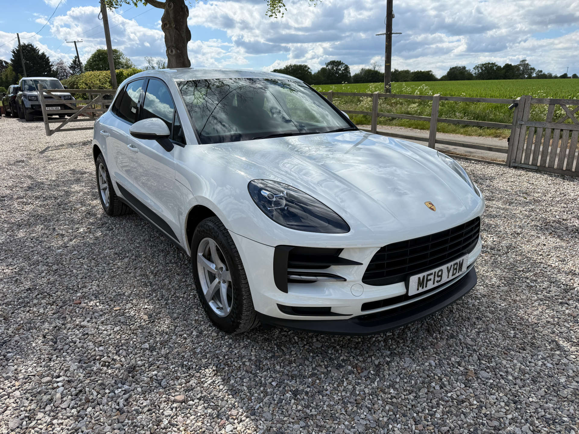 Macan