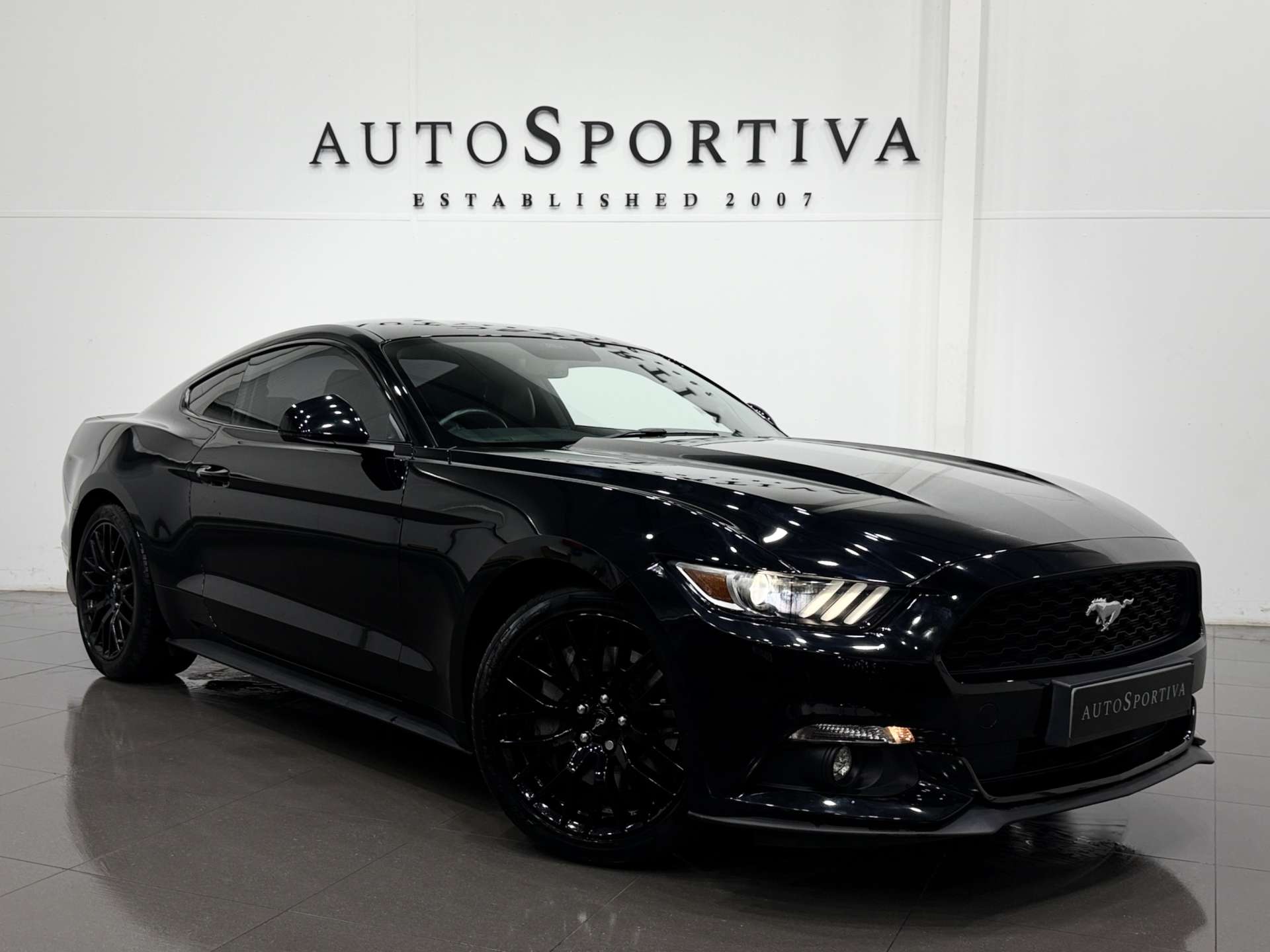 Mustang