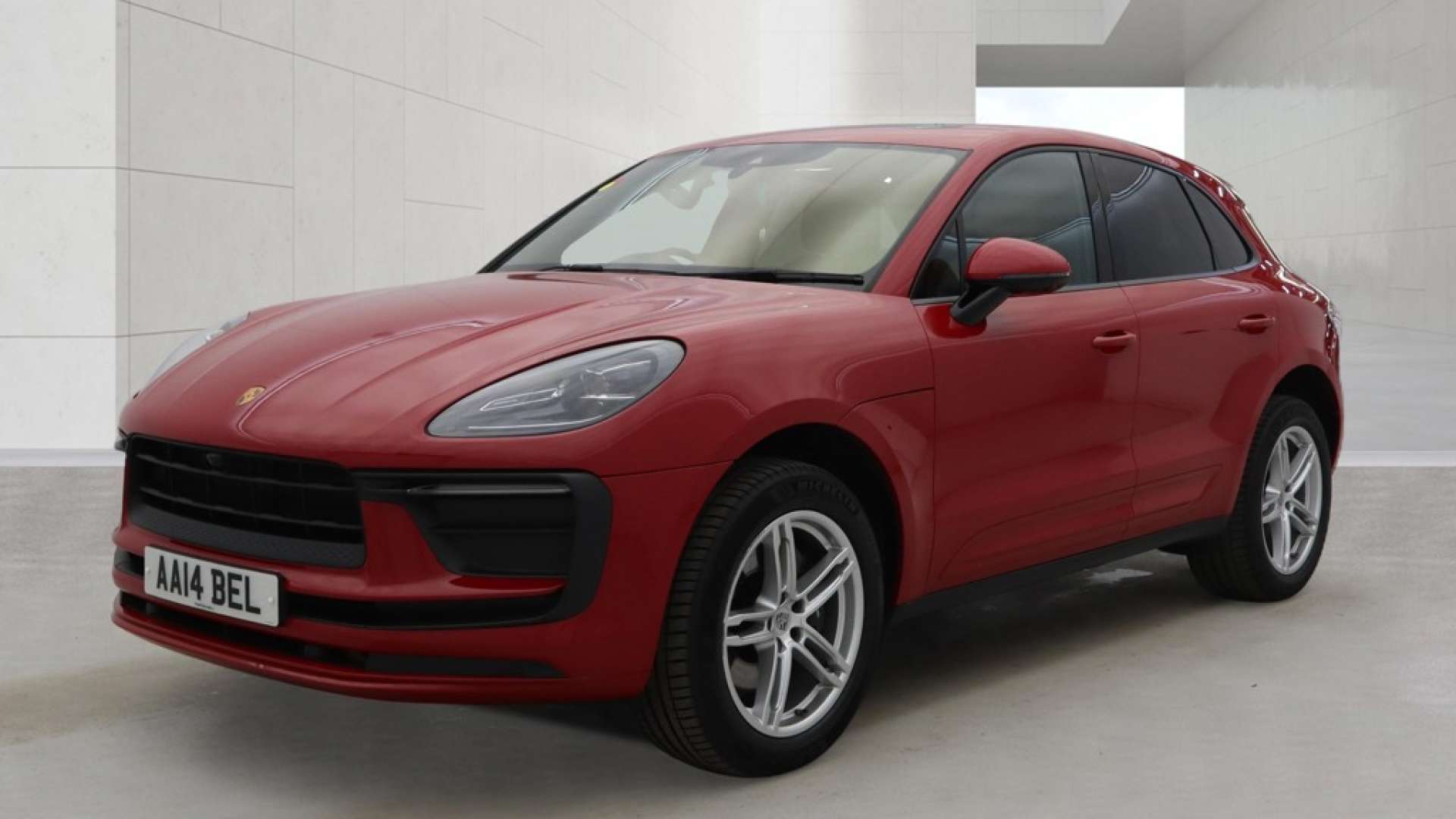 Macan