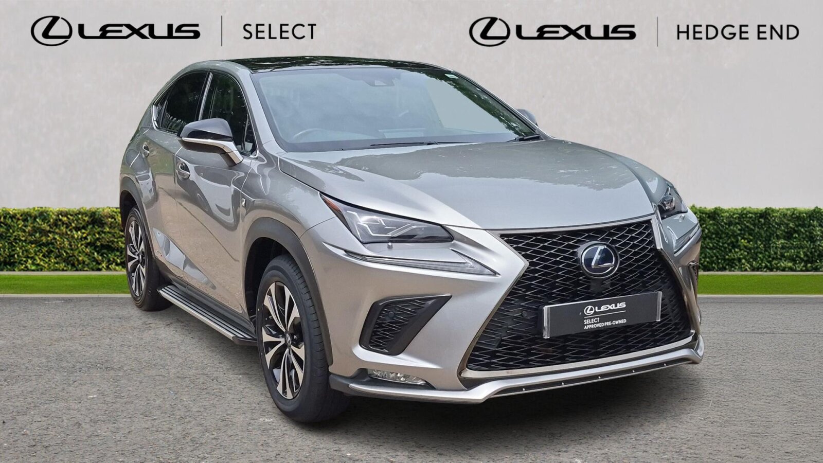 NX Hybrid