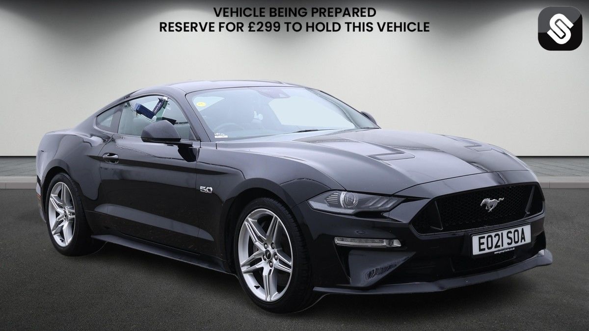 Mustang