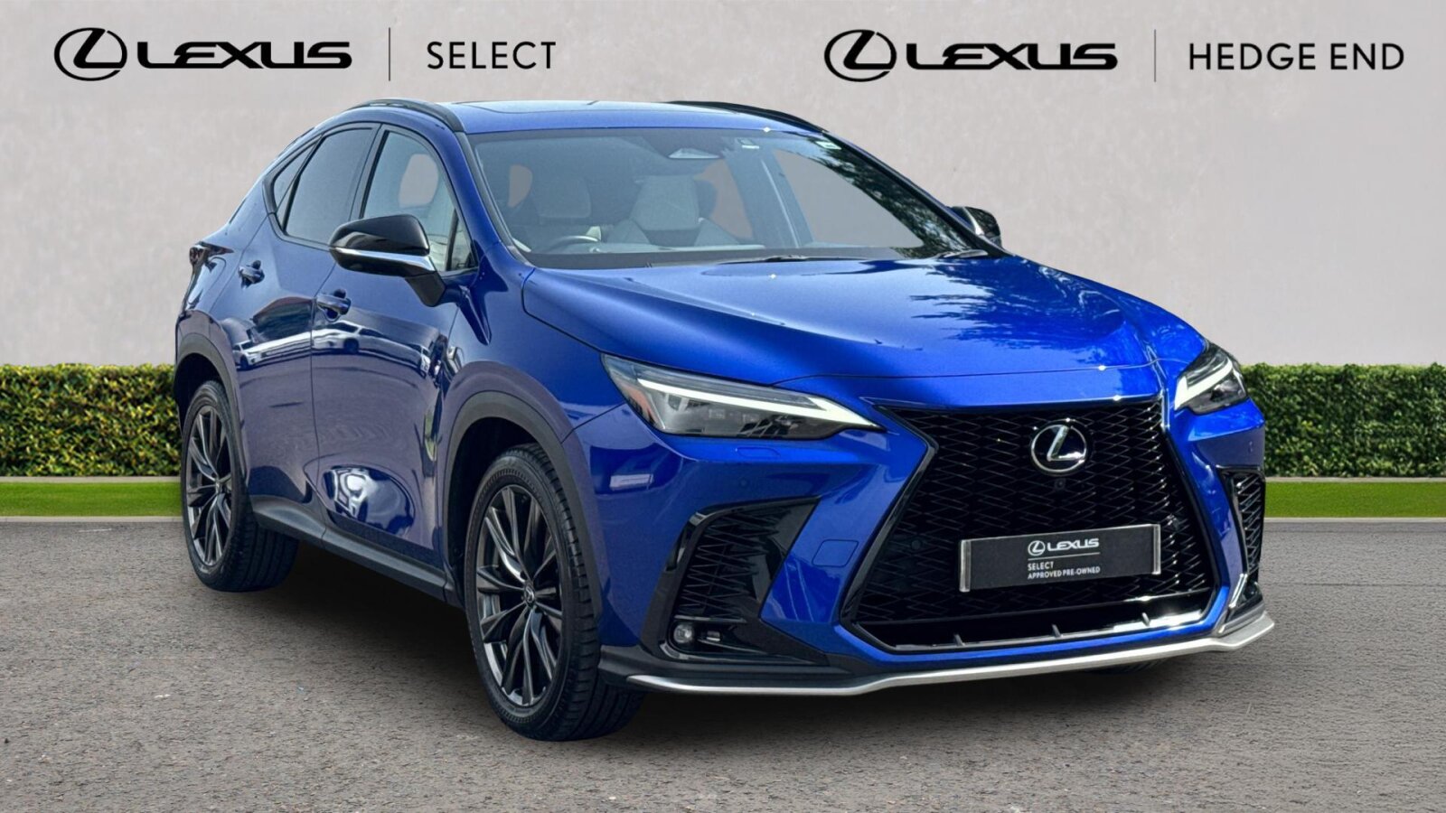 NX Hybrid