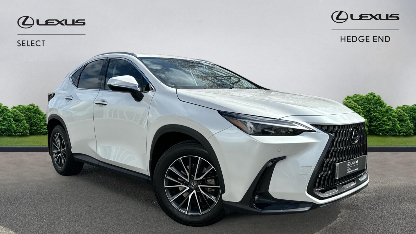 NX Hybrid