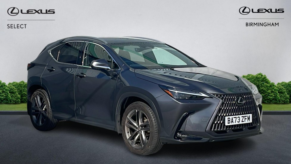 NX Hybrid