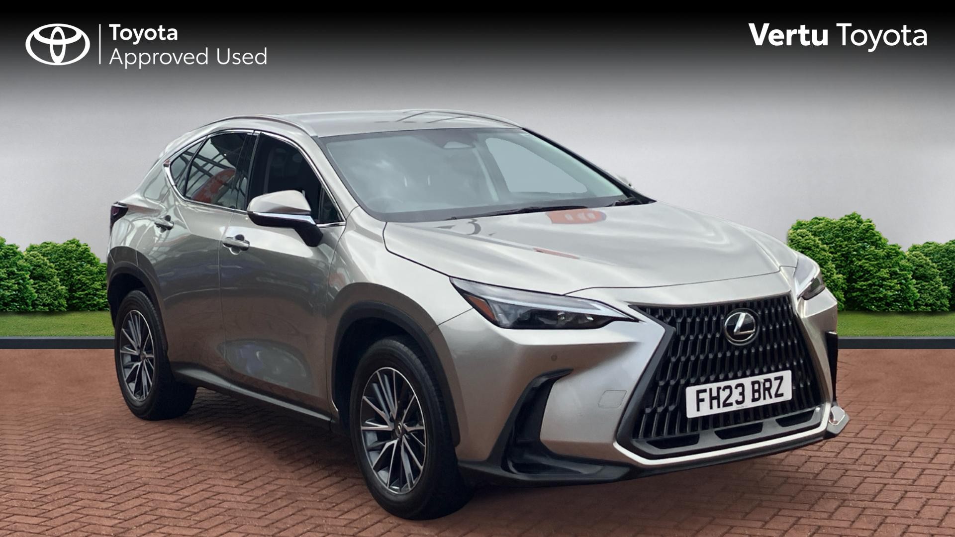 NX Hybrid