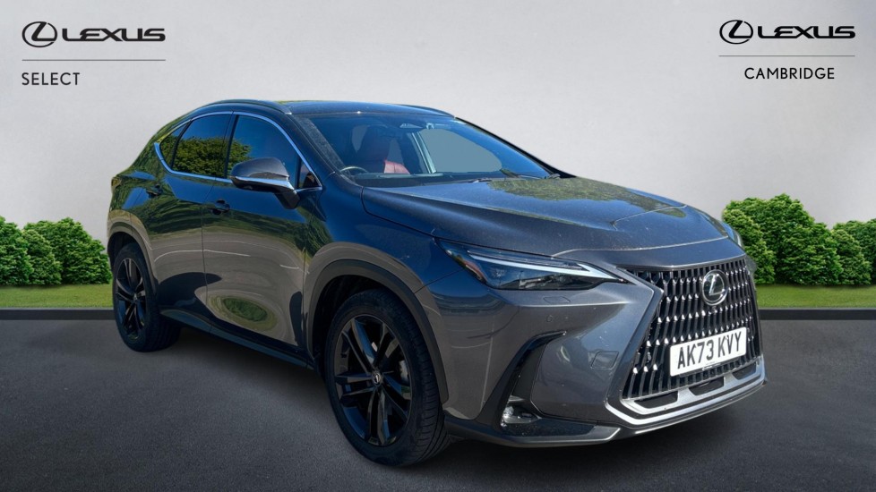NX Hybrid