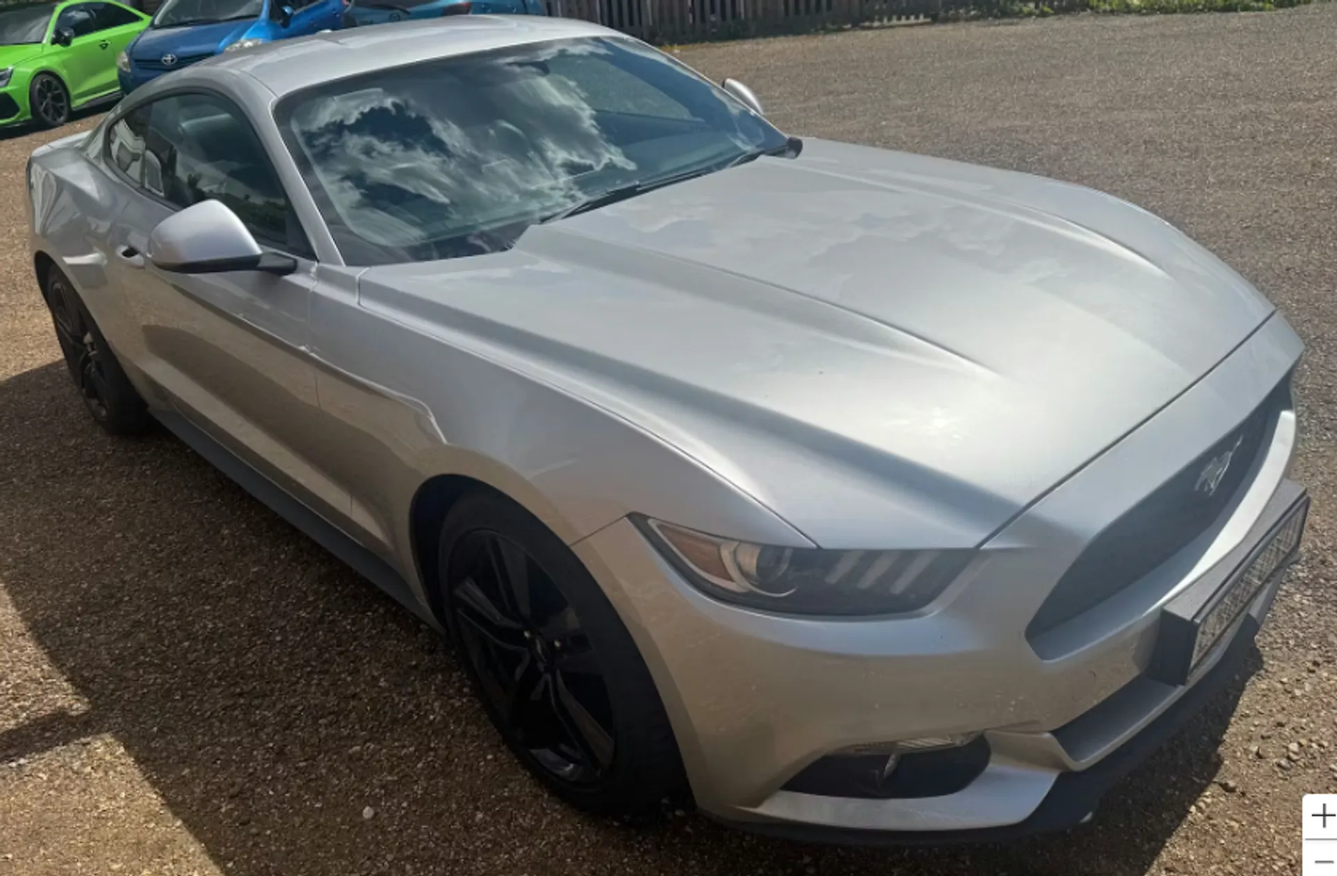 Mustang