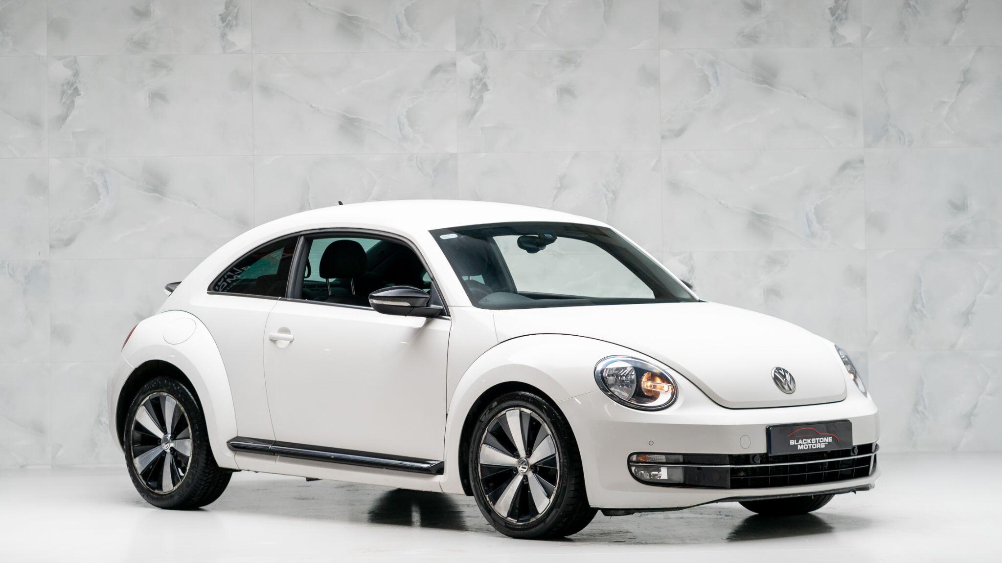 Beetle