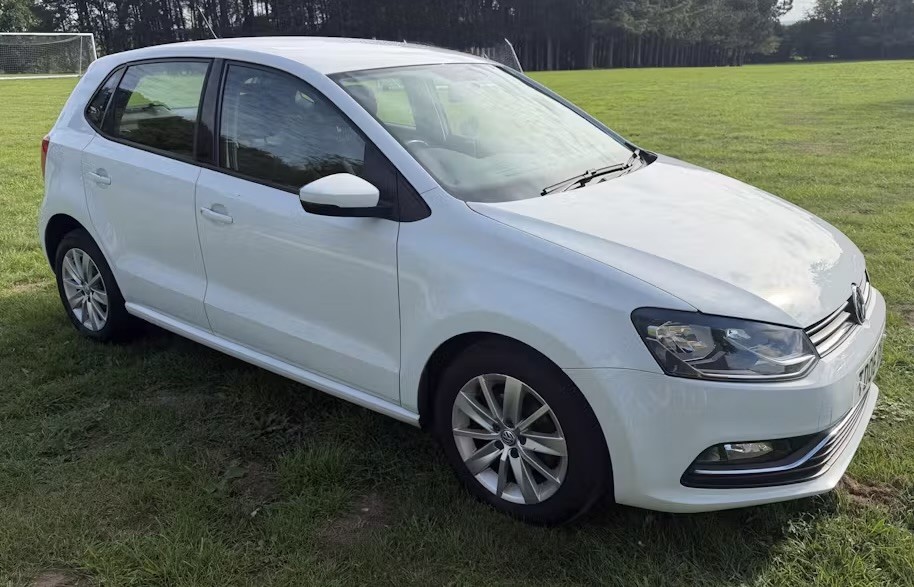 Polo