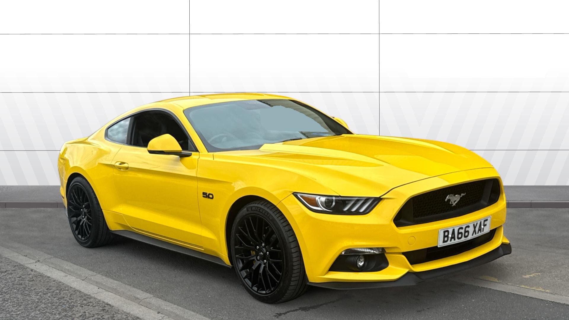Mustang
