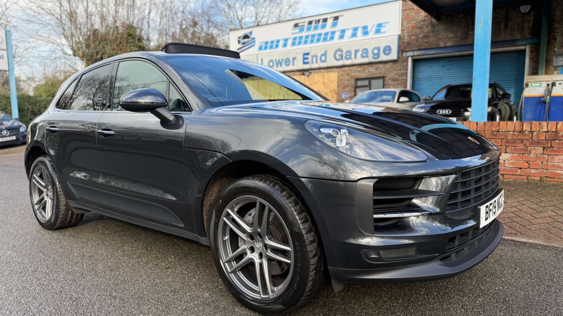 Macan