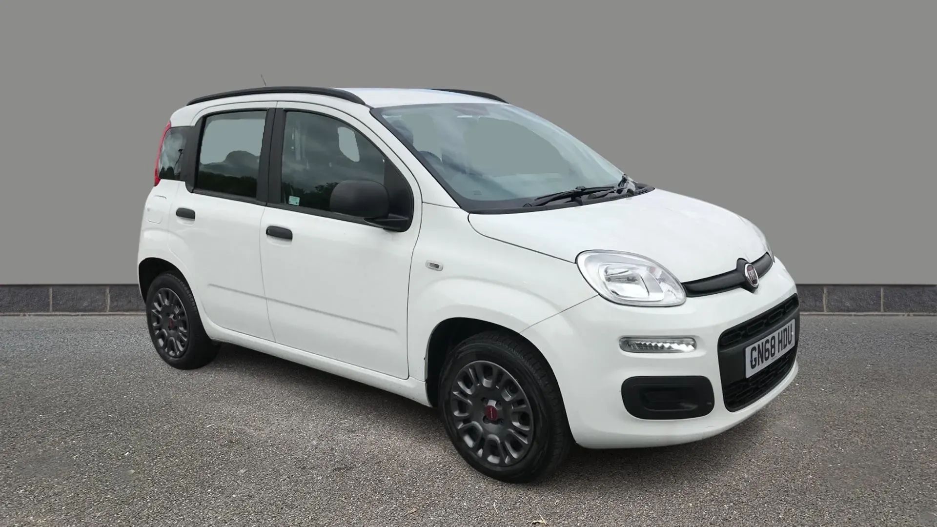 Panda