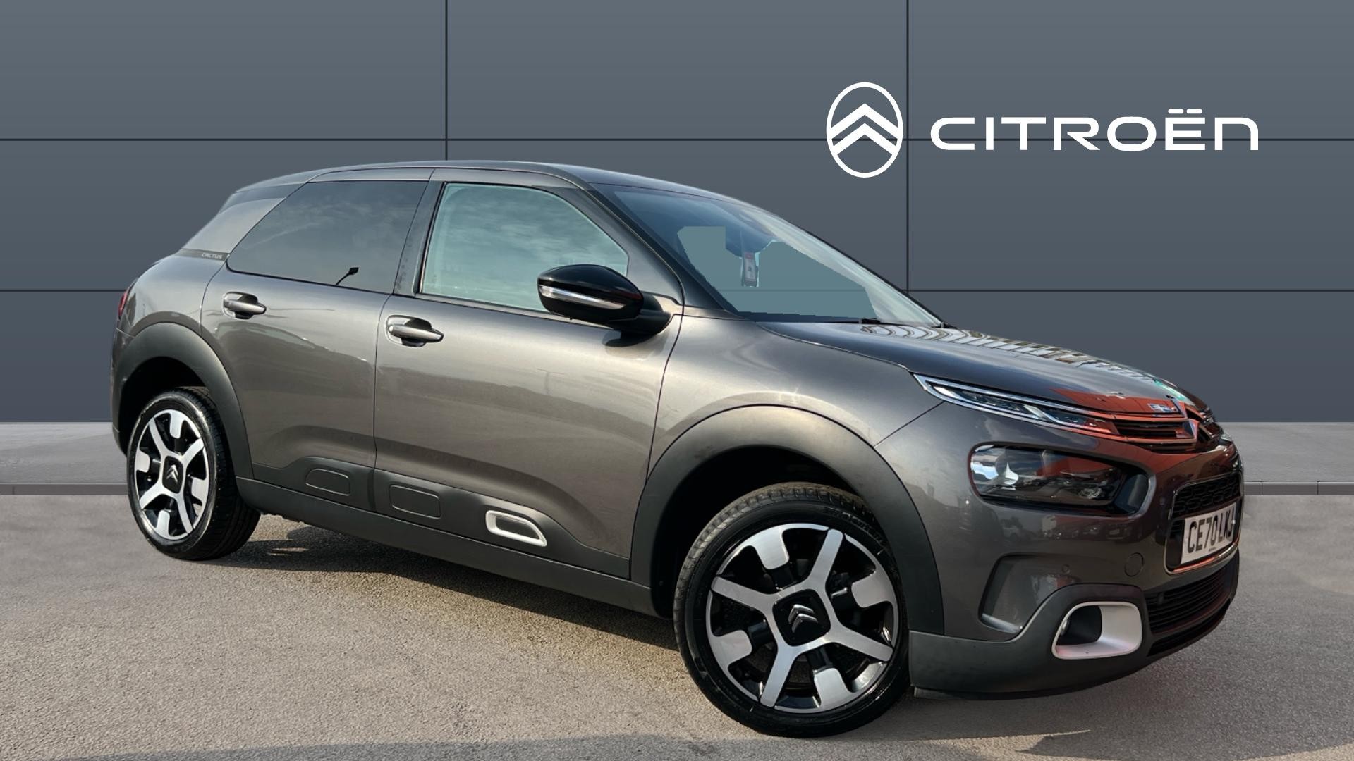 C4 Cactus