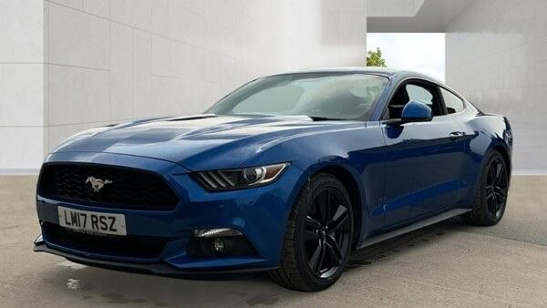 Mustang