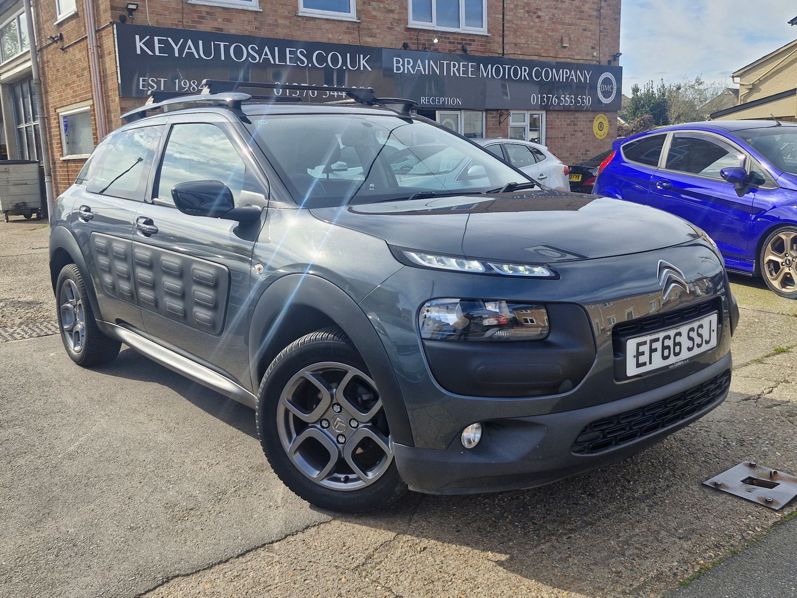C4 Cactus