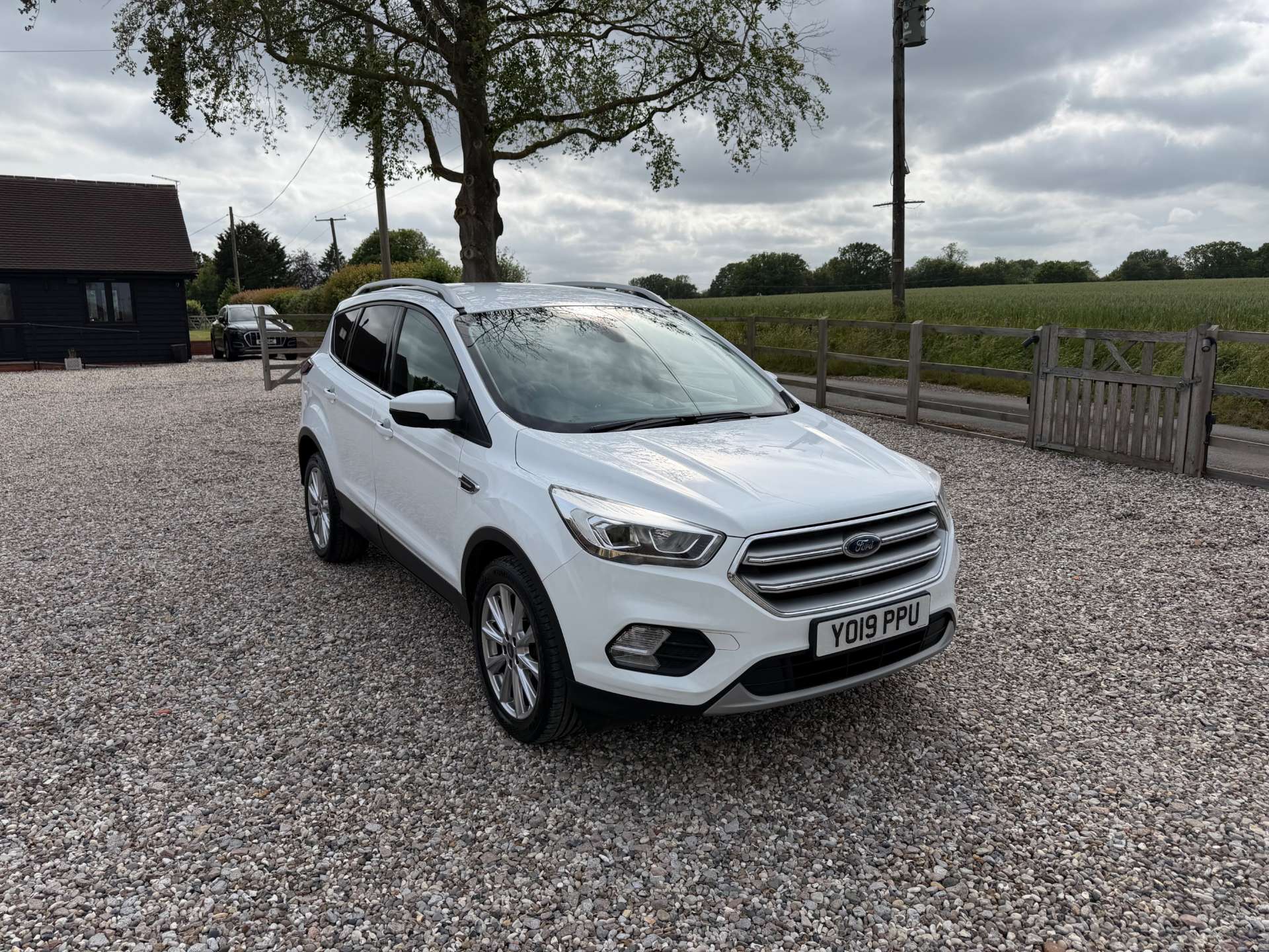 Kuga