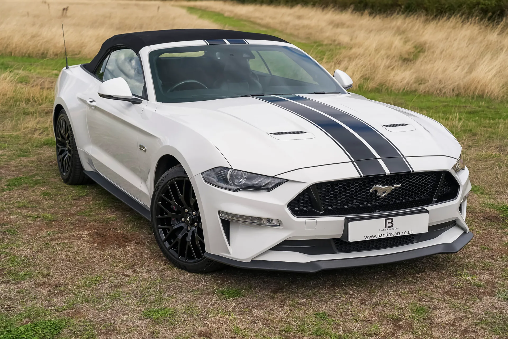 Mustang Convertible