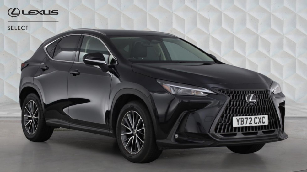NX Hybrid