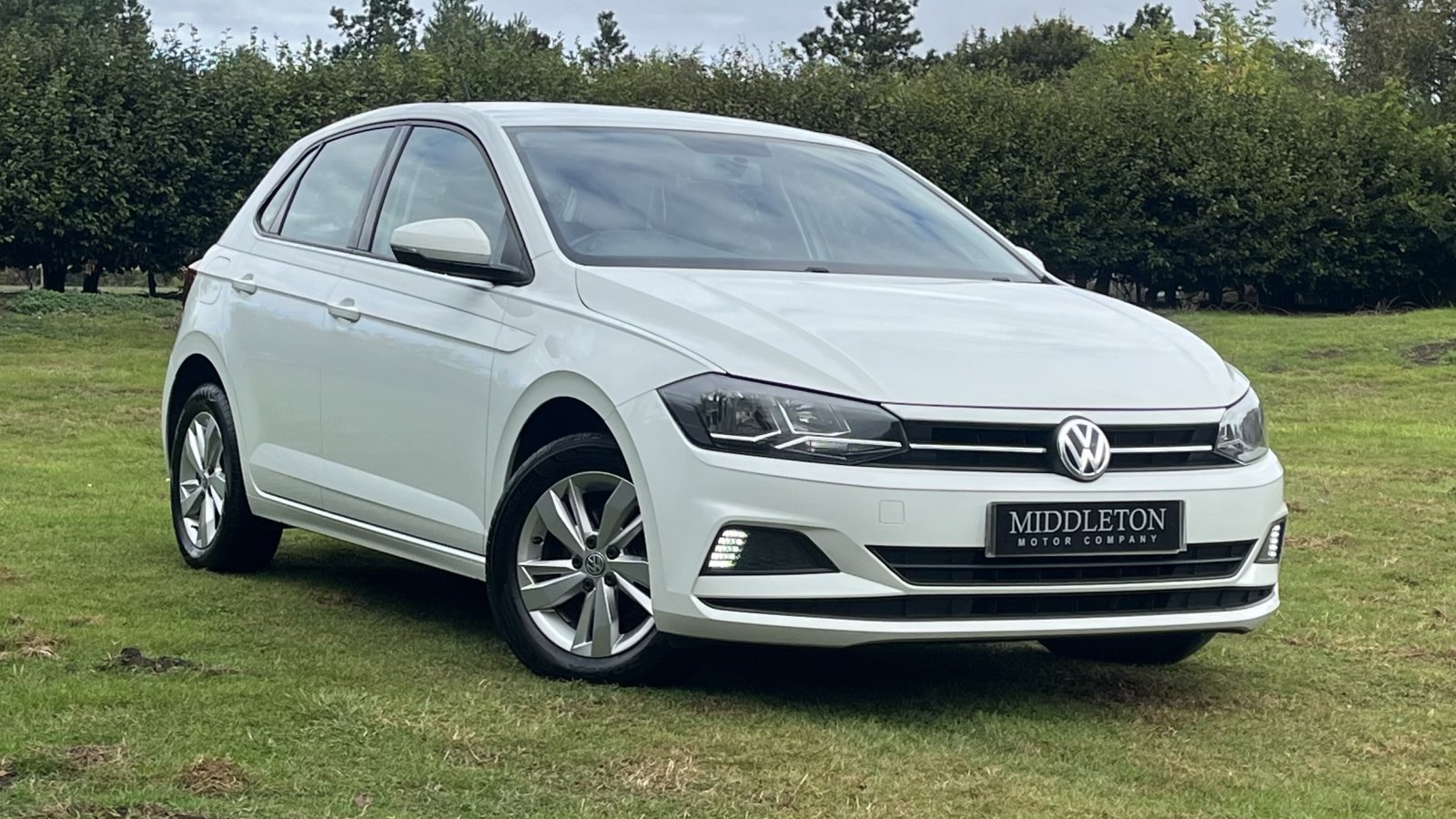 Polo