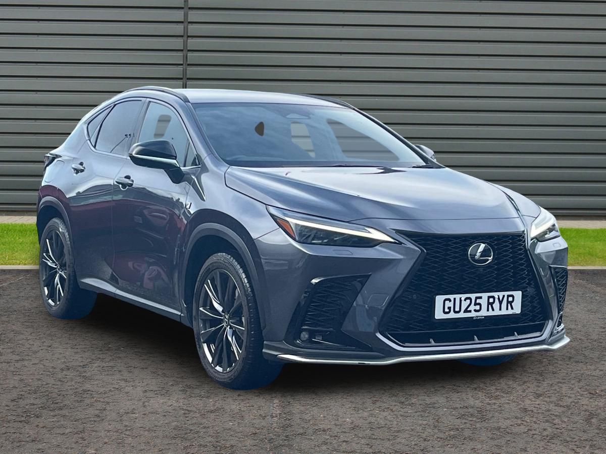 NX Hybrid