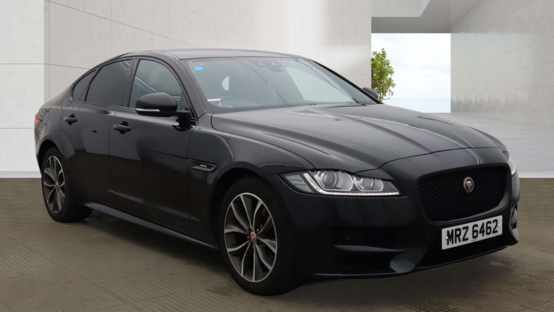 XF