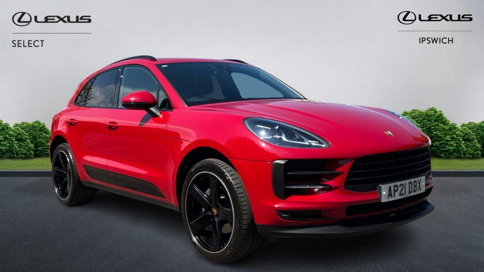 Macan