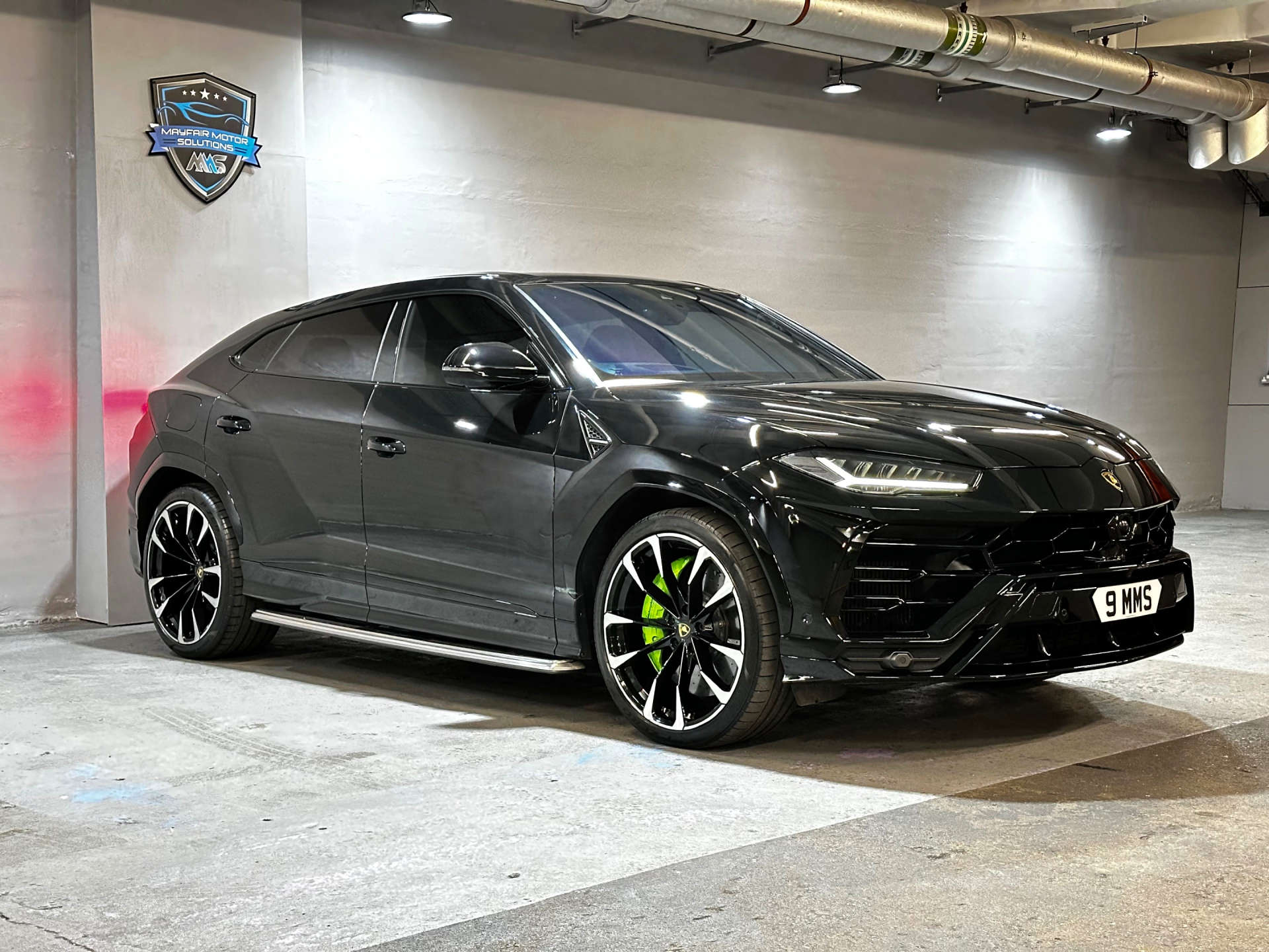 Urus