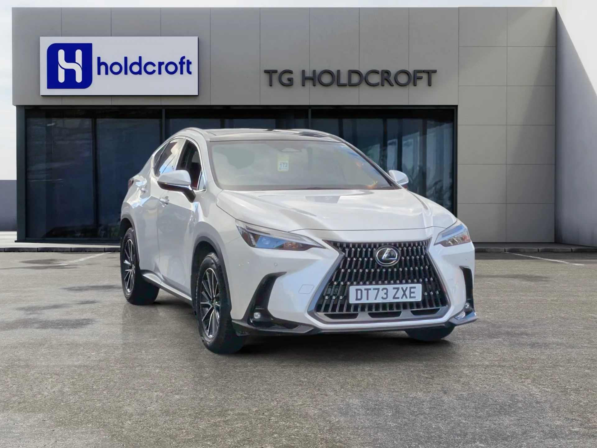 NX Hybrid