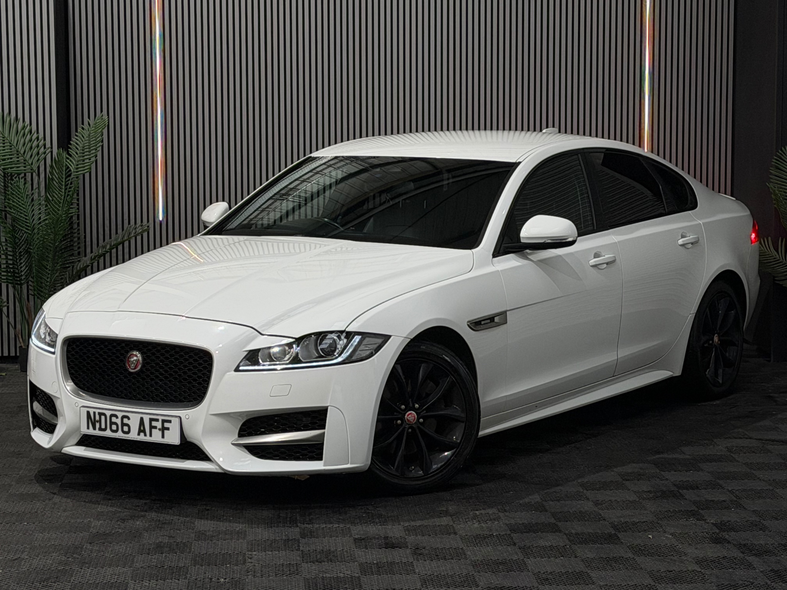 XF