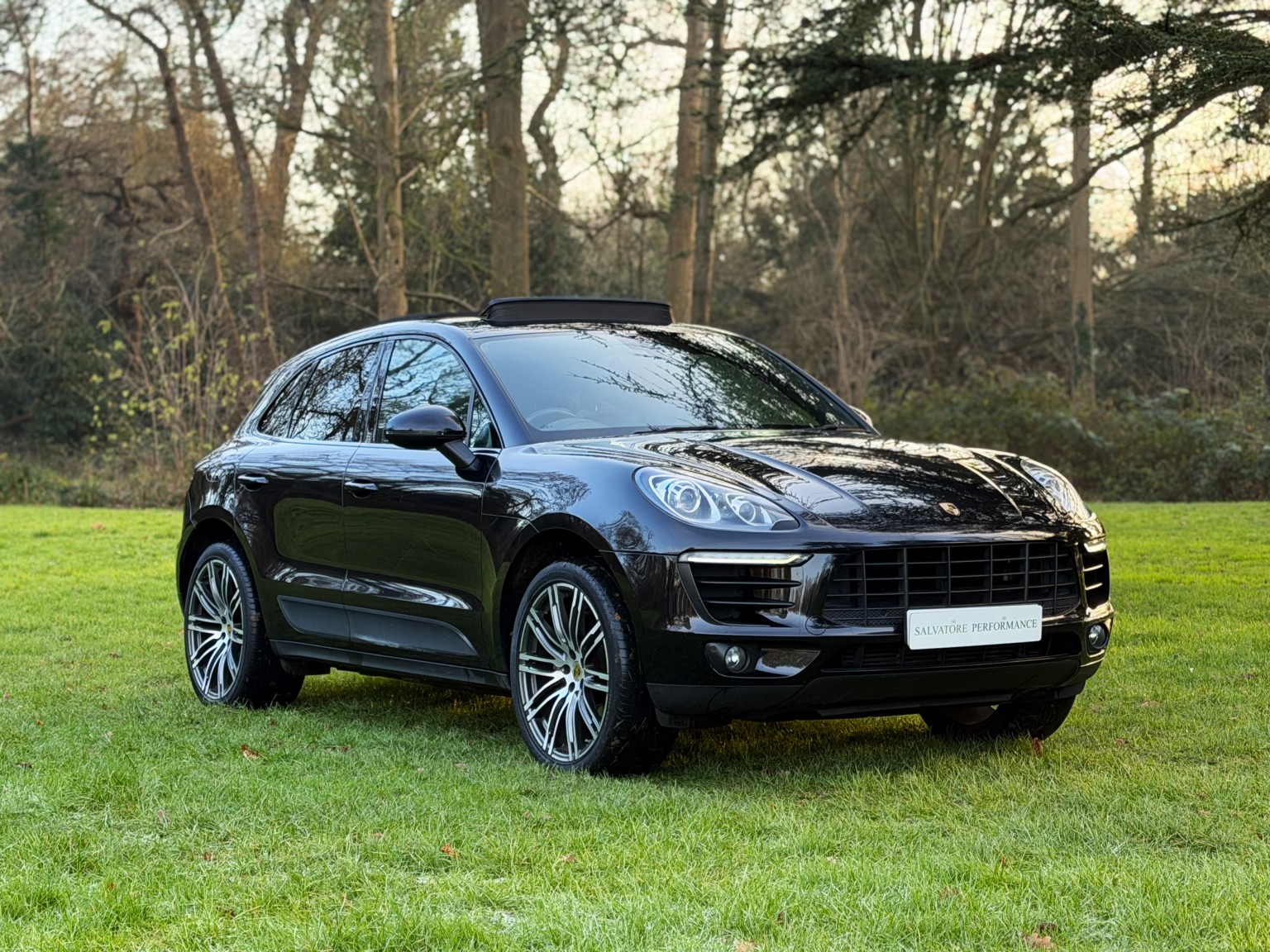 Macan