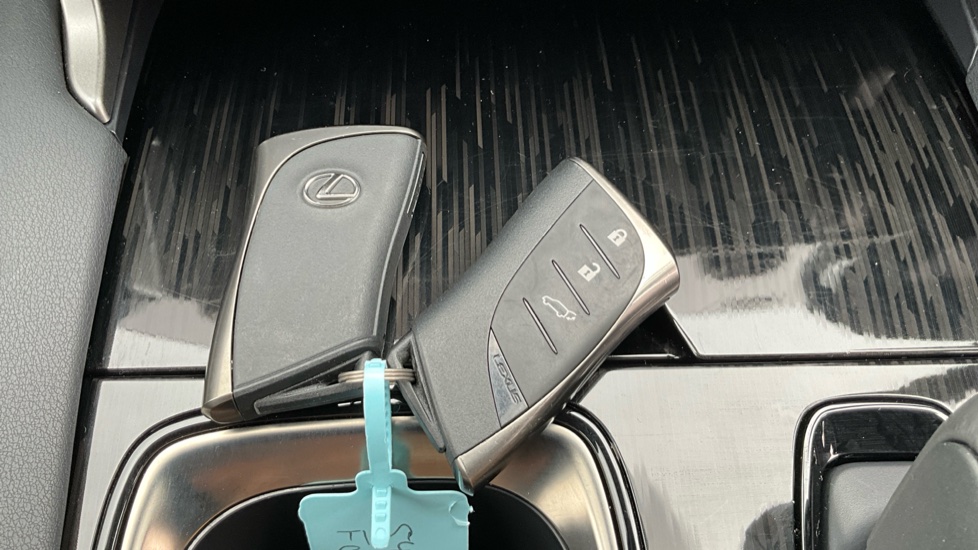 2024 Lexus RX