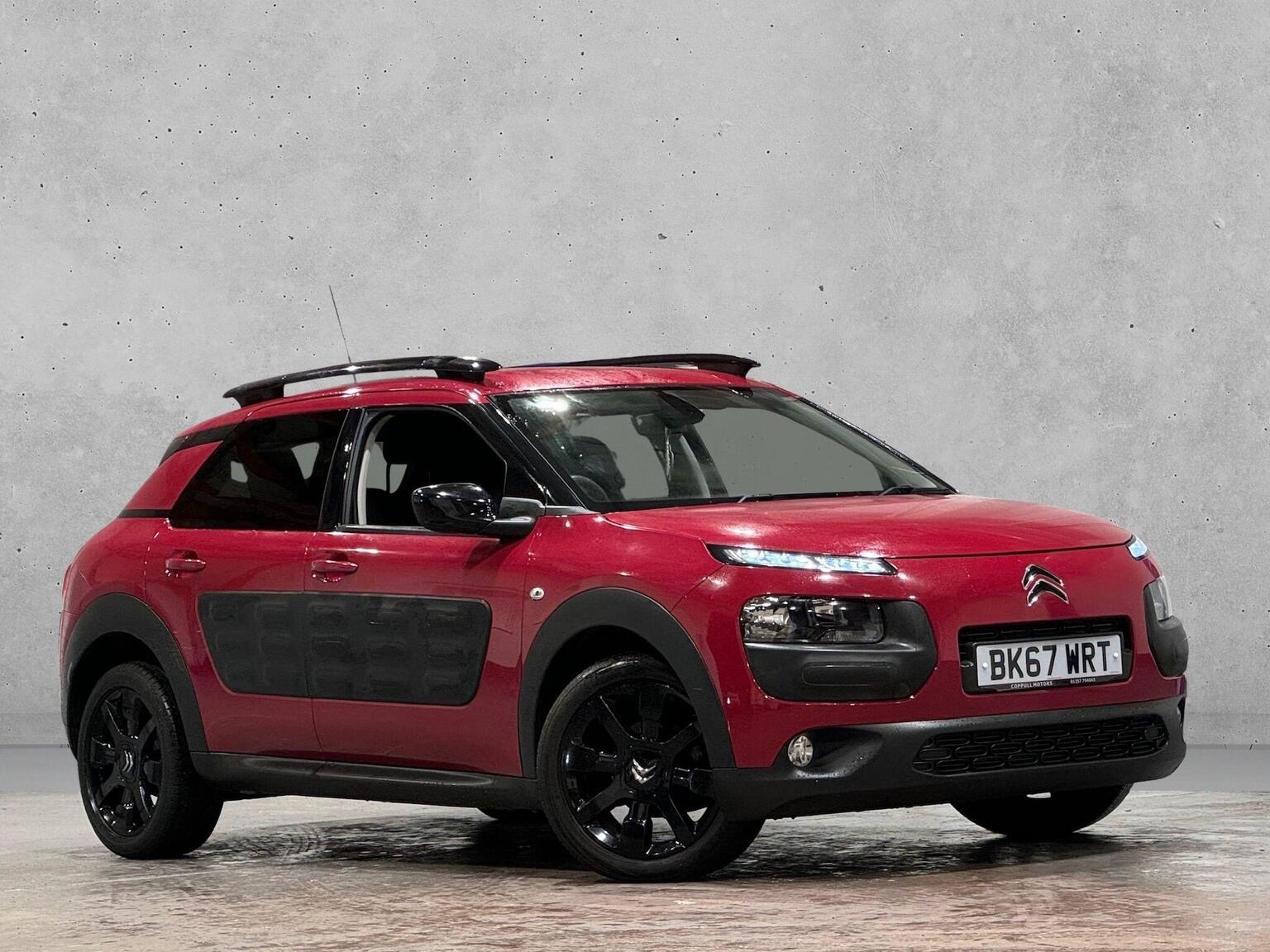 C4 Cactus