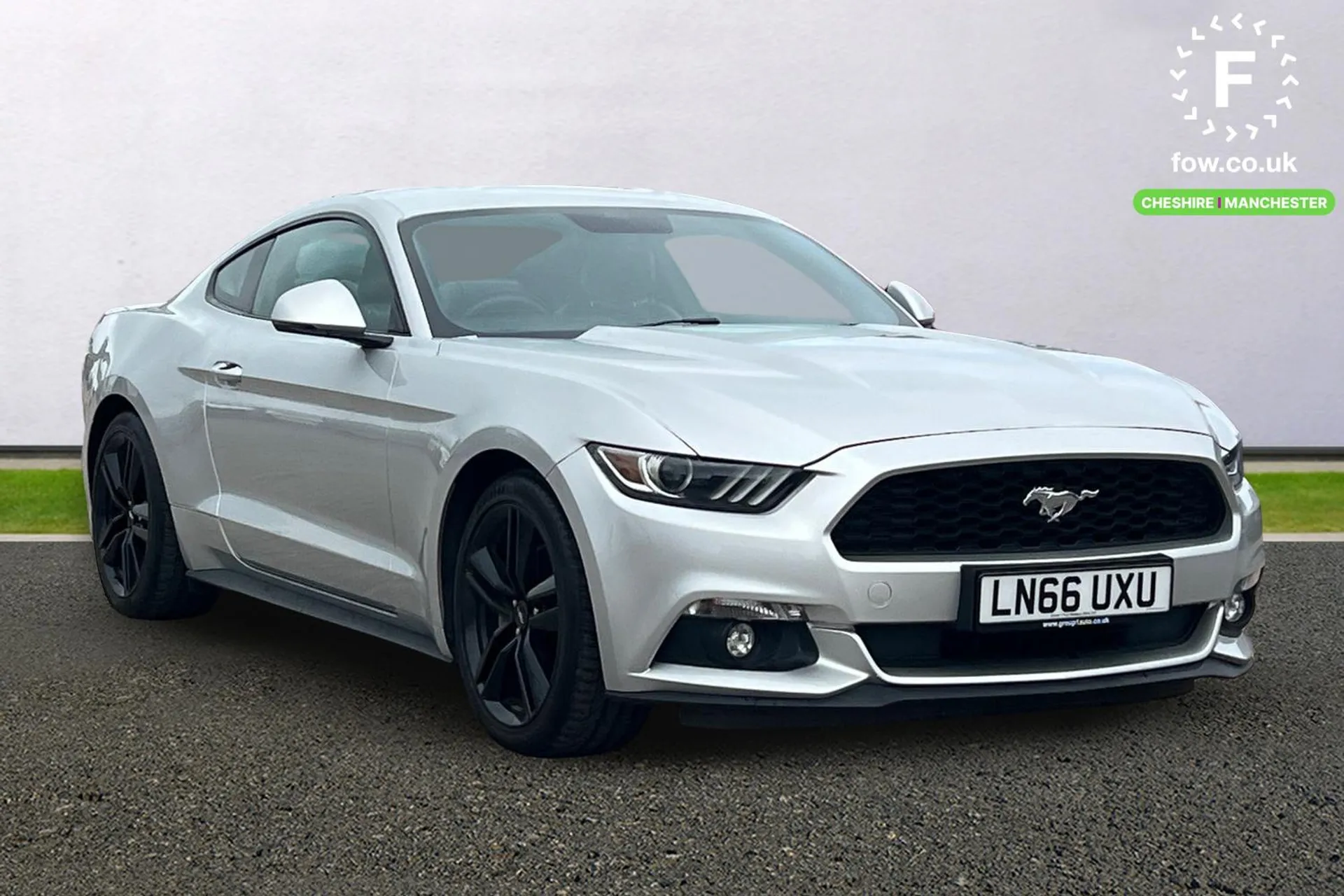 Mustang