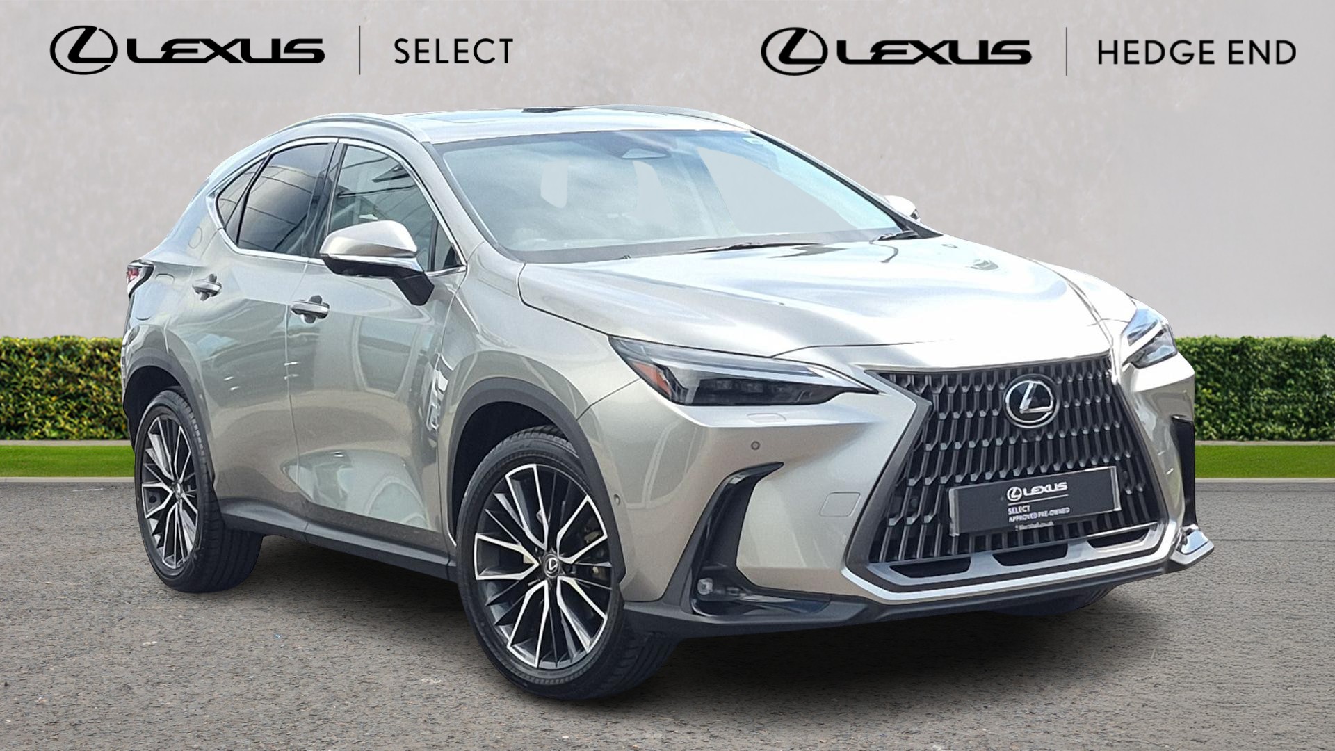 NX Hybrid