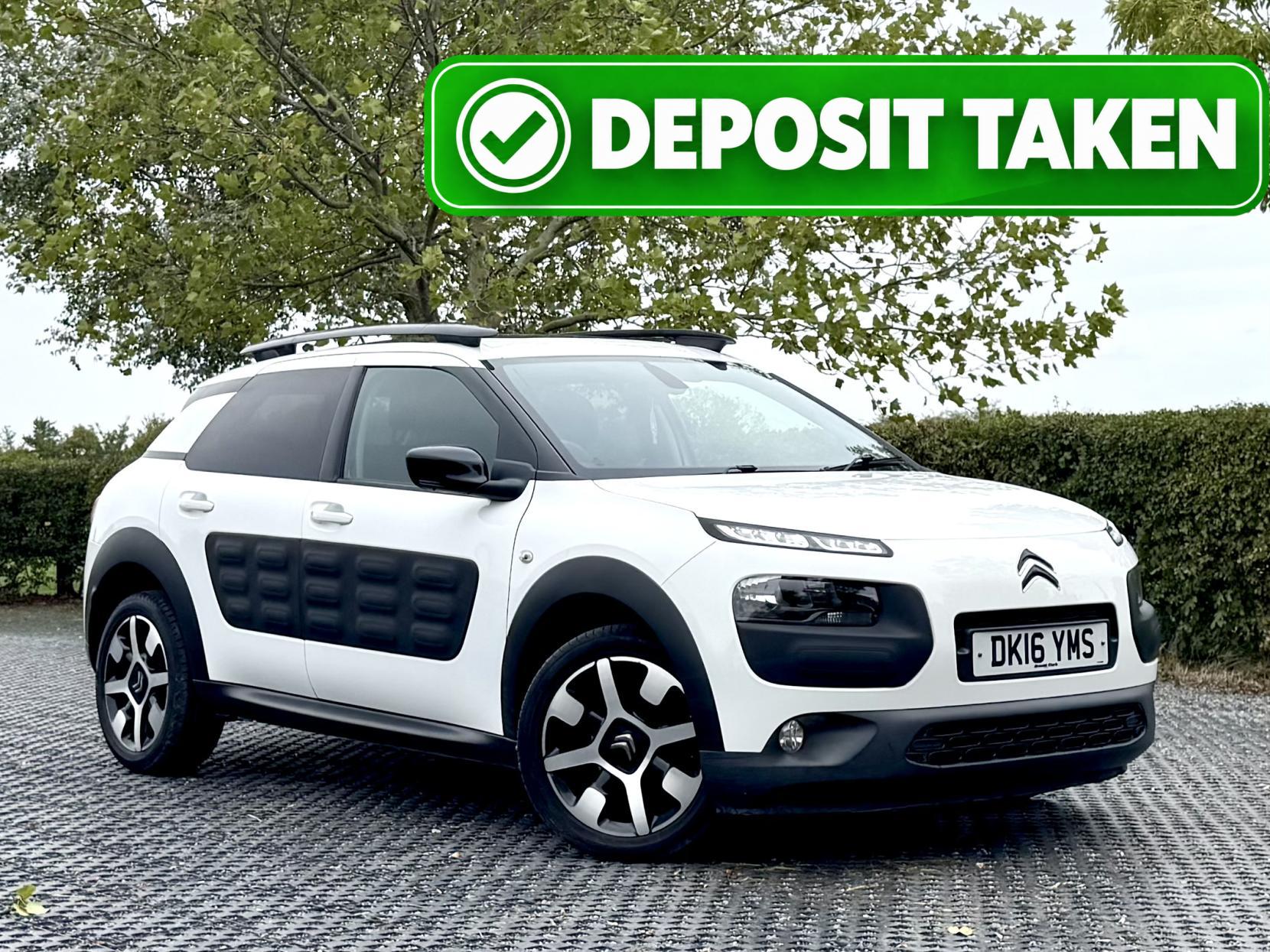 C4 Cactus
