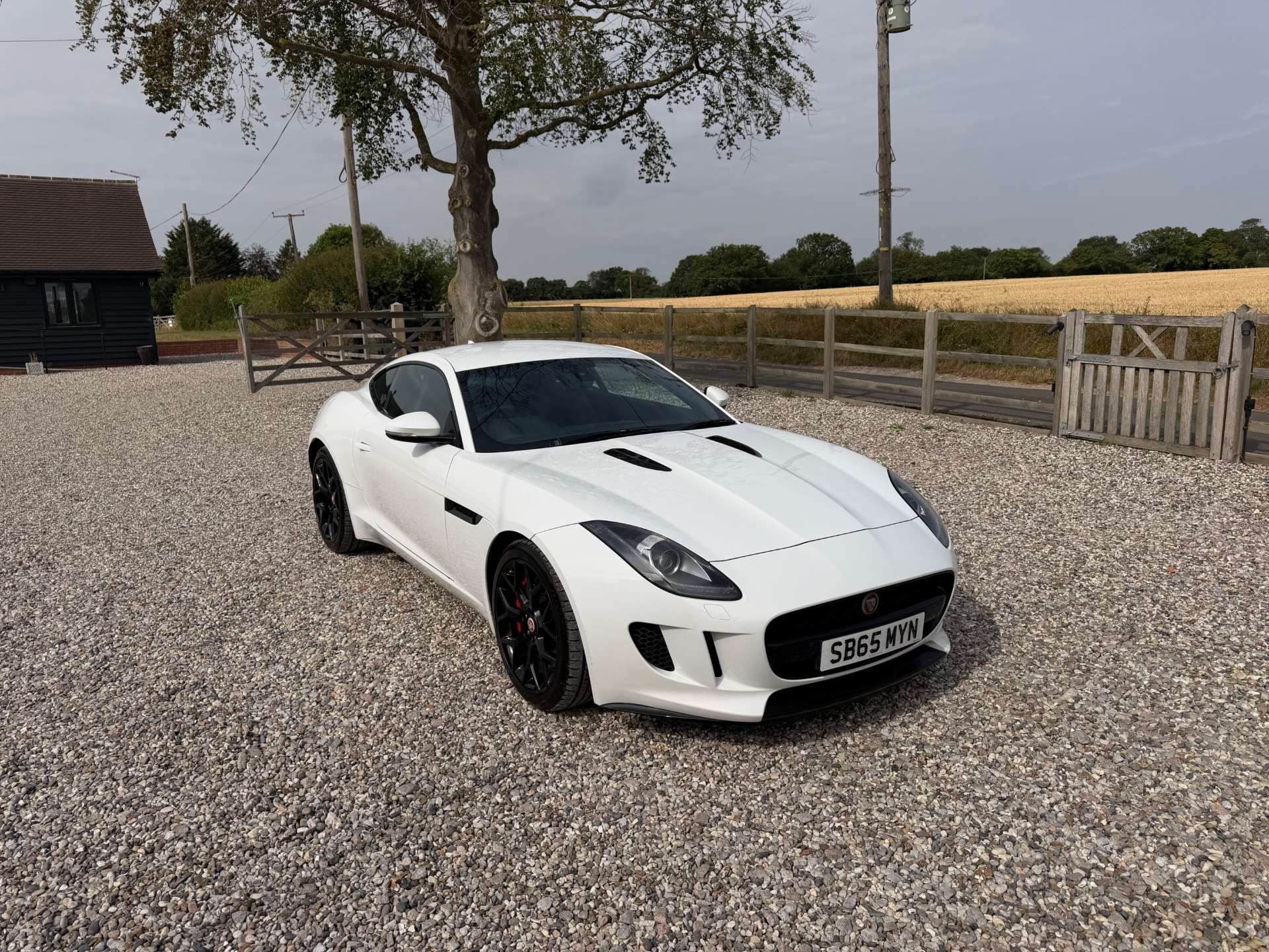 F-Type