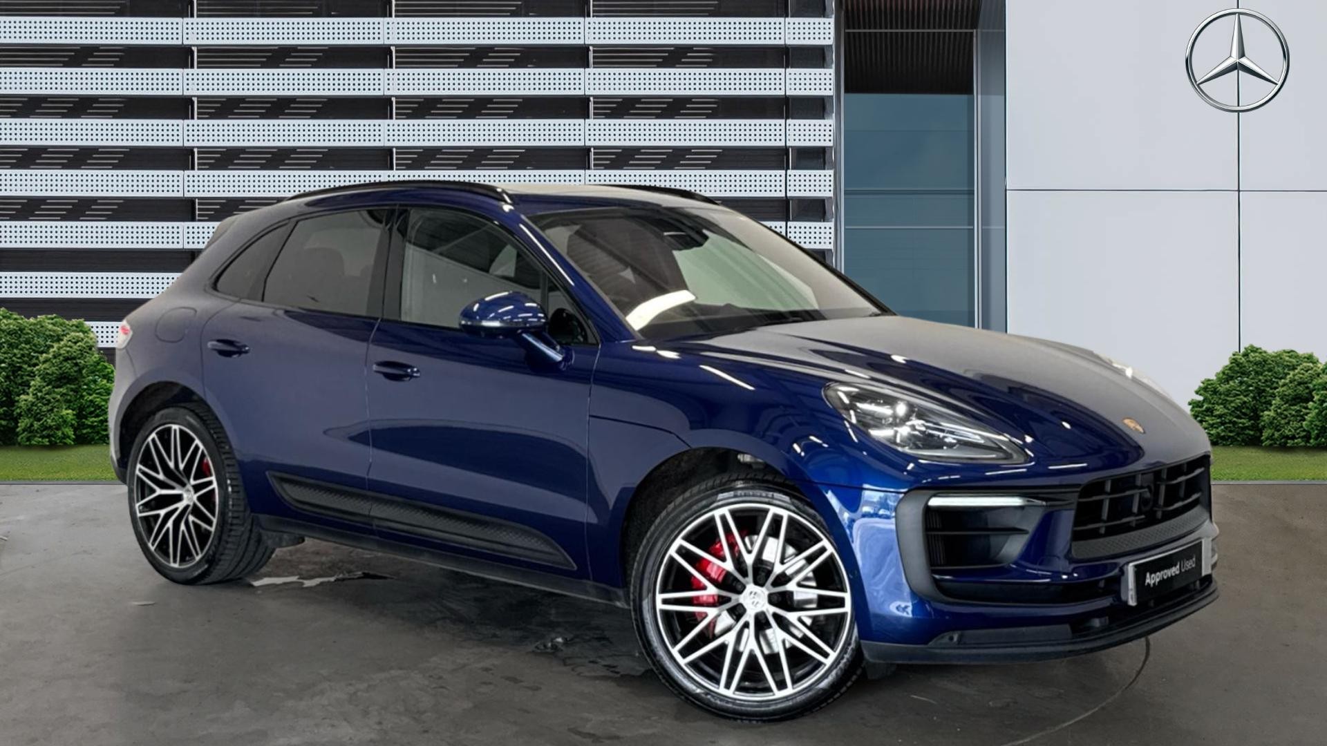 Macan